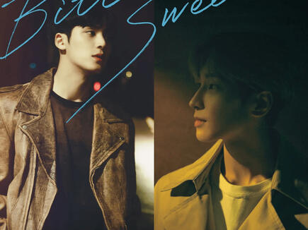 Bittersweet- Wonwoo x Mingyu